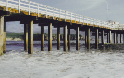 Care Rooted in Compassion, Presence, Stewardship, and Integrity